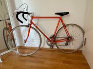 Shogun Vintage Rennrad - Potsdam
