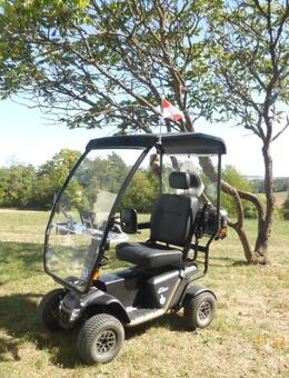 Verkauf: Elektromobil Pride Baja Wrangler 2 - Karlstadt
