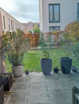 Modernes Reihenhaus mit 4 Zimmern, EBK und TERRASSE mit GARTEN - Mannheim