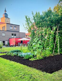 EINZIGARTIGE LAGE: Umfassend energetisch modernisiertes Haus mit 4 Wohnungen und sonnigem Garten im altstadtnahen Grün! - Ebern
