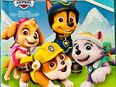 Paw Patrol Geschichtenbuch in 84405
