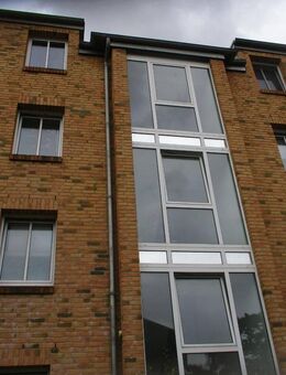 Helle, gepflegte 2-Zimmer Wohnung in Neumünster zu vermieten! - Neumünster