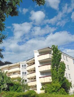 Seenahe, top renovierte Wohnung in Bodman! - Bodman-Ludwigshafen