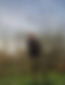 Sim*** - Bad Friedrichshall