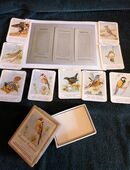 Altes Quartett "Singende Vogelwelt" 50er Jahre in 86633