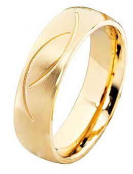 Herrenring Edelstahl HE106 Beschichtet - Aholming