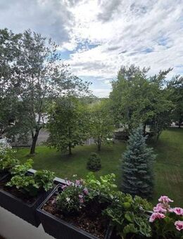 Sehr gut geschnittene 2-Zimmer in Marienfelde - Berlin