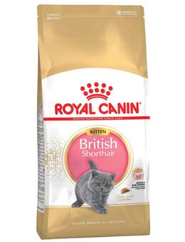 Sparpaket Royal Canin Breed 2 x Großgebinde - British Shorthair Kitten (2 x 10 kg)
