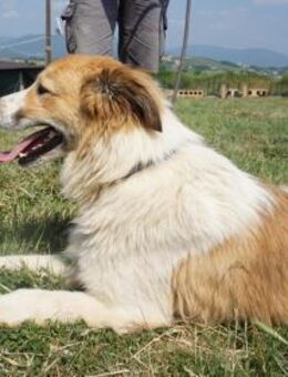 Miki starker Kerl mit weichem Kern - Kissing