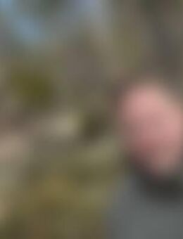 Tho*** - Feldberger Seenlandschaft