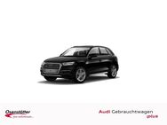 Audi Q5, 40 TDI sport qu, Jahr 2019 - Traunstein