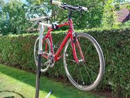 Gebrauchtes Fitness/ Race Bike - Erdweg