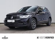 VW Tiguan, 1.5 TSI Life, Jahr 2021 - Wolfenbüttel