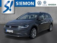 VW Golf, 1.5 TSI 7 Var Highline DynLED, Jahr 2020 - Lengerich (Nordrhein-Westfalen)