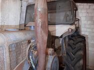 Lanz D4016 Volldiesel Schlepper Trecker 1958 Traktor - Norderstedt