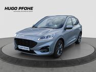 Ford Kuga, 1.5 ST-Line EcoBoost 110kW, Jahr 2023 - Oldenburg (Holstein)