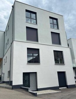 Schöne Sanierte Wohnung im EG - Giengen (Brenz)