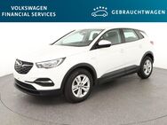 Opel Grandland X, 1.2 Edition 96kW, Jahr 2020 - Braunschweig