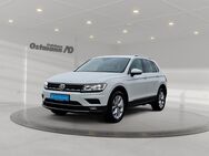 VW Tiguan, 2.0 TDI Highline FLA STH, Jahr 2020 - Bad Arolsen