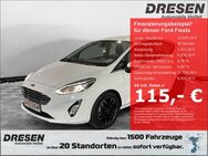 Ford Fiesta, 1.0 Titanium EcoBoost 5-tg Ti Android Ambiente Beleuchtung, Jahr 2018 - Mönchengladbach