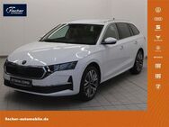 Skoda Octavia, 2.0 TDI Combi Tour, Jahr 2025 - Amberg