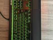 HyperX Alloy Elite RGB Gaming-Tastatur - Buxtehude