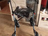 Topro topro rollator Gr M mit recht links Licht - Dortmund