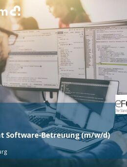 Consultant Software-Betreuung (m/w/d) - Neu Isenburg