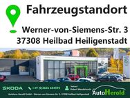 Skoda Kodiaq, 2.0 TDI Selection Standhei, Jahr 2024 - Heiligenstadt (Heilbad) Zentrum