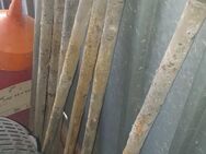 8 Stk gebrauchte Erdnägel 30x1000 - Arnsberg
