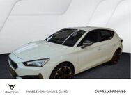 CUPRA Leon, 2.0 TSI R APP, Jahr 2023 - Neu Ulm