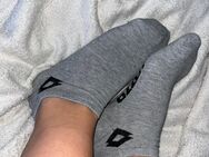 getragene socken - Lauenförde