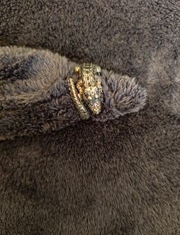 Thomas Sabo Ring Krokodil Größe 64 - Trier