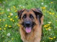 FLORA - Zuneigung und Liebe genießen - Overath