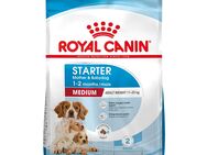 Royal Canin Medium Starter Mother & Babydog - 4 kg
