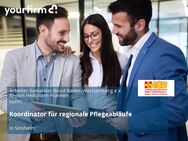 Koordinator für regionale Pflegeabläufe - Sinsheim