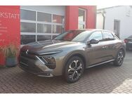 Citroen C5 X Shine Pack Hybrid 225 360 HUD Leder Navi Shz - Großrudestedt