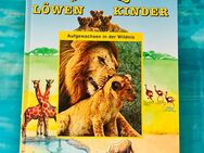 Löwenbuch Simba - Dorfen