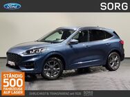 Ford Kuga, 2.0 EcoBlue ST-Line X, Jahr 2024 - Fulda