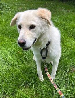 MARLON - hofft auf eine eigene Familie - Aerzen