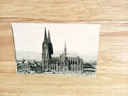Ansichtskarte-Ak-240 -Köln am Rhein. Dom. - Nörvenich