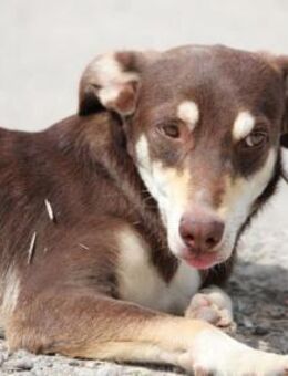 Winzling Elijah ist einfach nur süß! - Karben