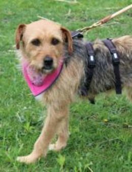 Finchen wartet auf ihren Neuanfang - München