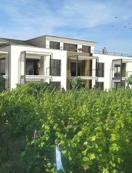 Lifestyle & Transparenz | Penthouse im NEUBAU - Nonnenhorn