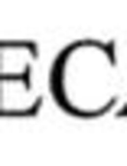 Software Developer in Testing* - Wiesbaden