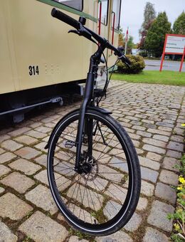 Tenways cgo 600 pro E Bike top - Herten