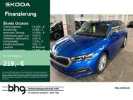 Skoda Octavia, 2.0 TDI Combi Ambition, Jahr 2021 - Mössingen