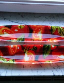 2 Glas Schalen ca. 41x8,5x2,5 cm mit Tomaten-Dekor zus. 4,- - Flensburg