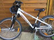 Mountainbike Jungenfahrrad Legnano 24" silber - München Schwabing-West