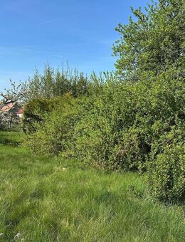 Großes Grundstück mit kleinen Haus und Nebengebäude !!! - Georgenthal